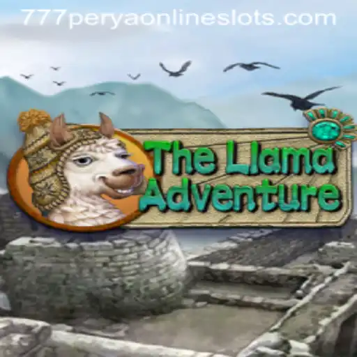 Discover the Thrills of 